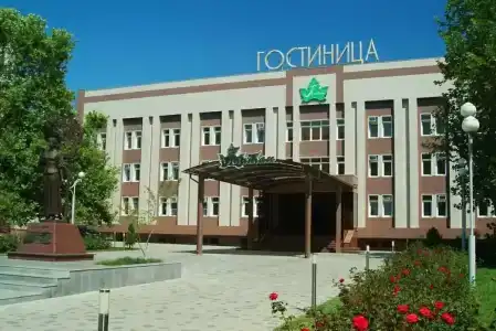 Платан - 3