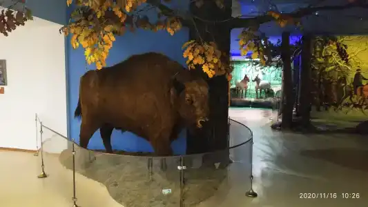 Complex Kamenyuky - 70