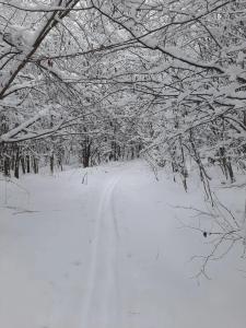 Park Grishkino Tourist base - 93