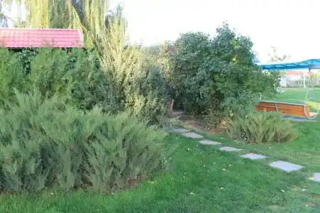 Razdole - 46