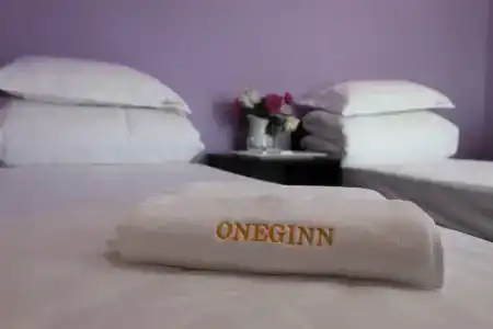 Oneginn - 17