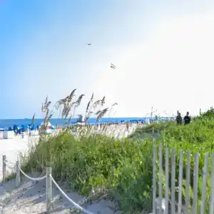 Hilton Vacation Club Crescent on South Beach Miami - 2