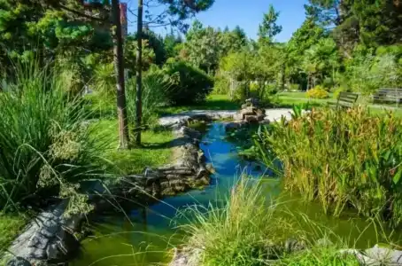 Pansionat izumrud Health resort - 9