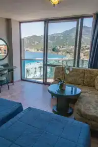 Kaktus Kaktus Albir - 55