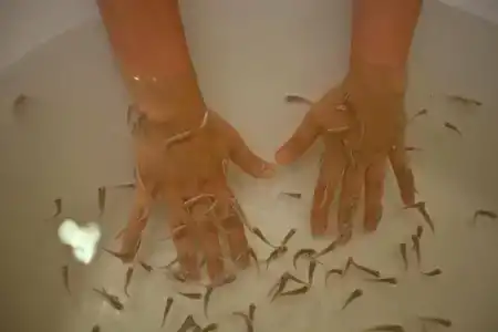 Green Nature Resort and Spa - 63