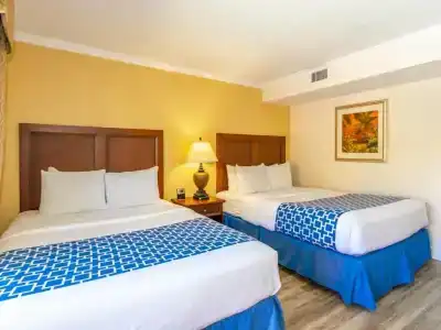 Coconut Cove All-Suite - 43