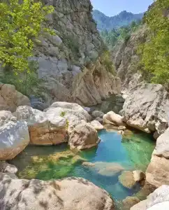 Rose Garden Premium - 3