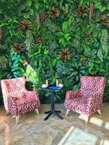 Alfa Apart-Hotel - 41