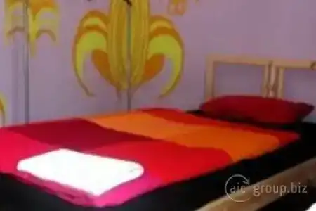 NattyDog Hostel - 3