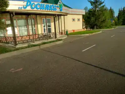 Detskiy Sanatoriy "Rosinka" - 74