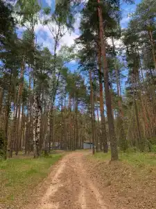 Zaliv - 77