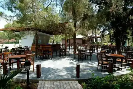 Maya World Side - 34