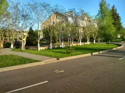 Detskiy Sanatoriy "Rosinka" - 24