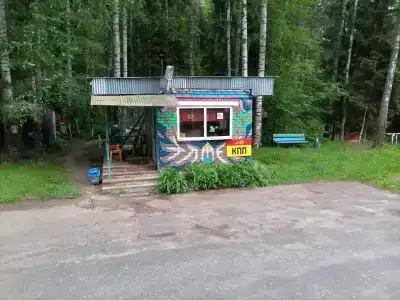Detskiy sanatorno-ozdorovitelnyy lager Stroitel - 9