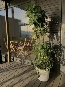 Grey House Recreation camp - 19