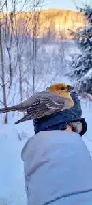 Vesna Tourist base - 23