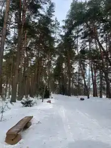 Politehnik - 19