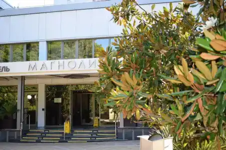 Magnoliya - 24