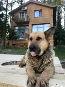 Neptun Tourist base - 32