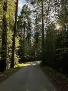 Gostevoj kompleks Tihij Les Recreation camp - 3