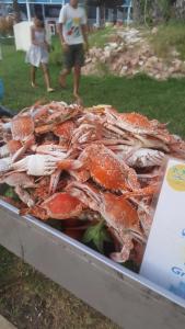 Sidi Mansour Resort & Spa - 36