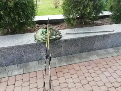 Berezinskaya Dubrava - 29