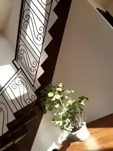 Dacha Haus Apart-Hotel - 20