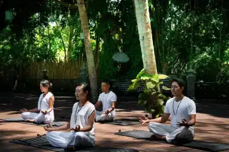 Plataran Ubud & Spa - 40