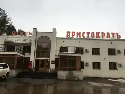 Аристократ Кострома - 65