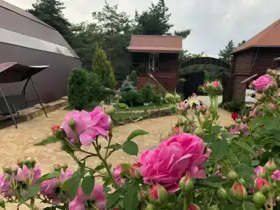 Park-Otel Kanyon Recreation camp - 24