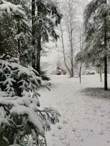 База отдыха Дубки - 83
