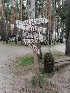 Park semeynogo otdyha Andreevskiy - 38