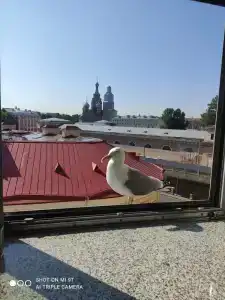 Три МостА - 66