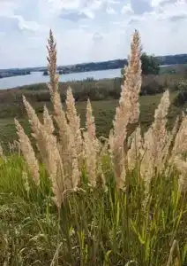 Recreation center Streletskaya Sloboda - 15