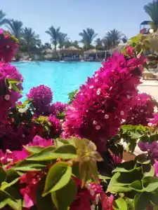 Sunrise Aqua Joy Resort - 53