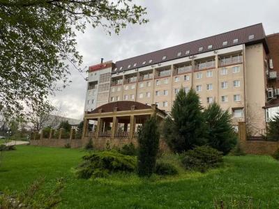 Nadezhda Park-Hotel - 48