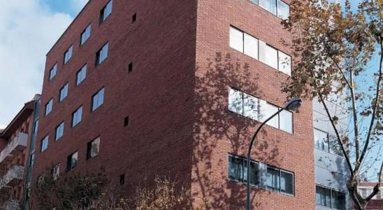 Bohemian Entenza - 15