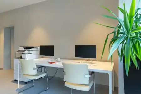 Harmonia by Dukley - 88