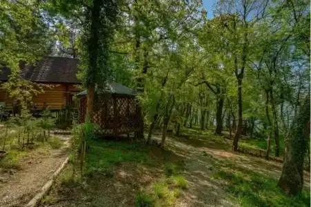 Green Wood - 48