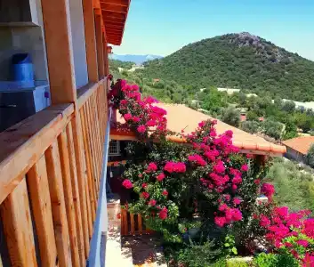 Istlada Tas EV Apart - 28