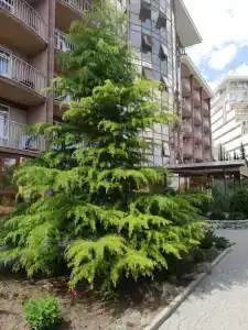 Морской - 89