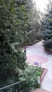 Koktem Sanatorium - 71