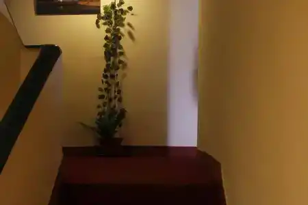 Holy Temple Tree & Chautari Cafe - 12