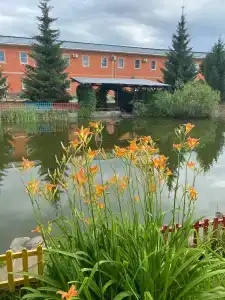 Уют Внуково - 76