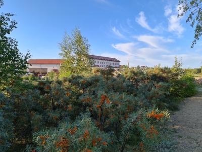 Terrassa Park - 88