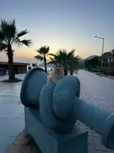 Cleopatra Golden Beach - 12