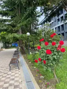 Orion Okhotnik & Spa - 45