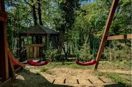 Green Wood - 54