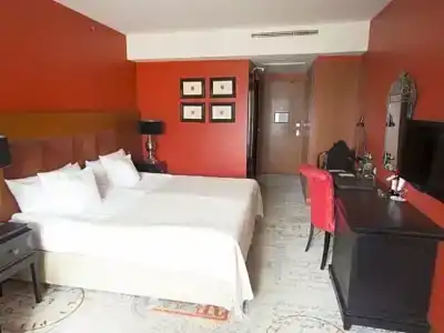 Telegraaf, Autograph Collection - 13