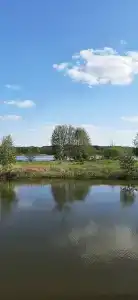 Камыши база отдыха - 21